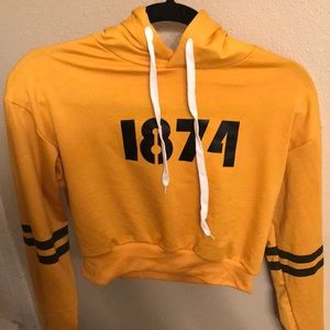 Sigma kappa cropped hoodie 1874
